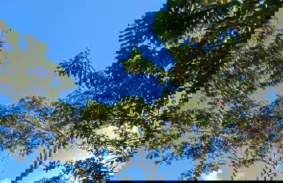 Hostería El Sendero Cocorná - Foto 26