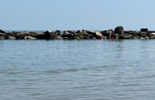 Residence Carioca - Foto 45