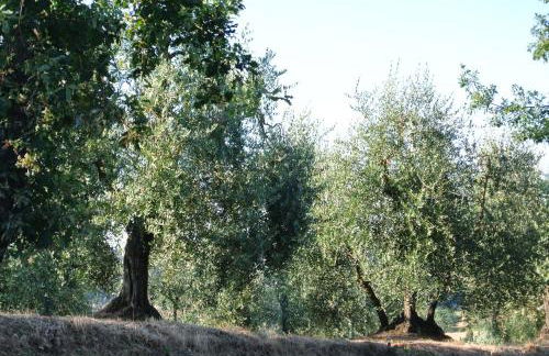 Le Logge di Caprera - Photo 21