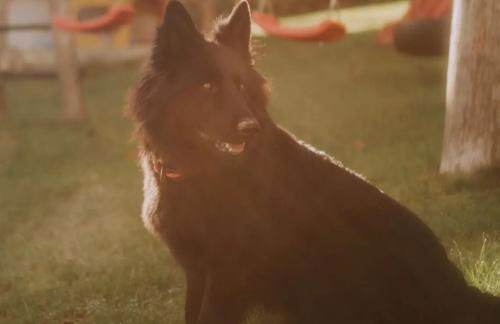 Ranzinger Hof - Foto 23