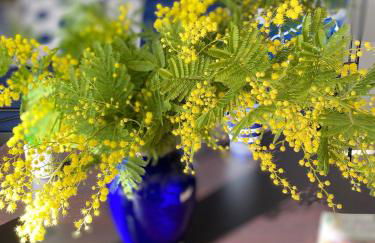 Les Jardins du Soleil - Foto 11