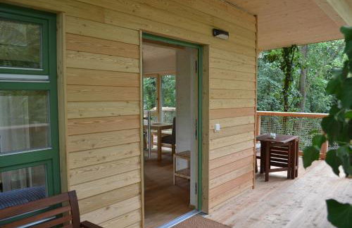 MainBaumhaus - Foto 2