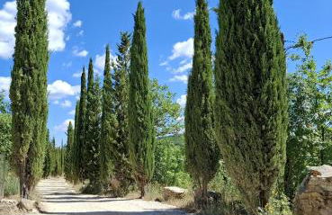 Borgo Livernano - Foto 20