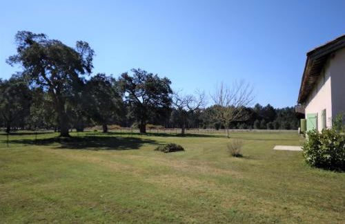 LE PETIT FROUAS CENTRE - Foto 16