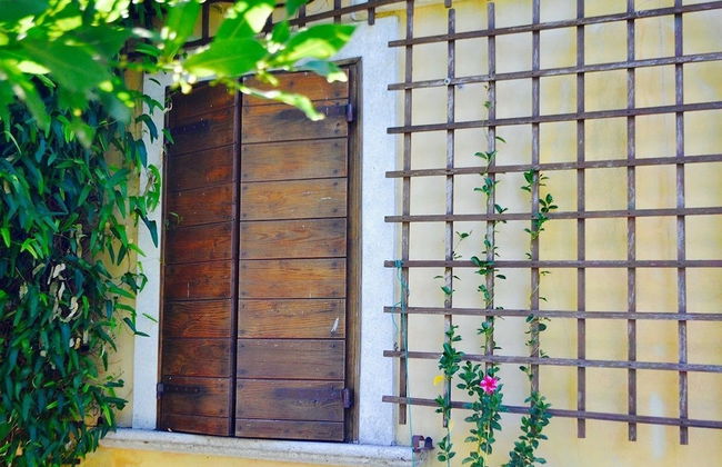 Ars Naturae Biologic Farm - Foto 73