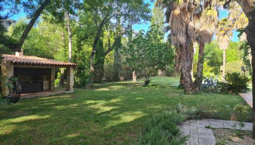 Innoasis - Photo 2, Garden