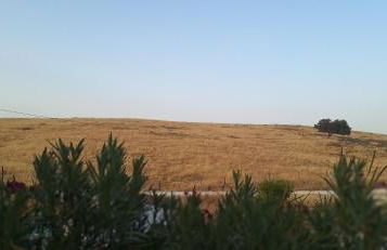 ALDEIA DOS ORVALHOS - VILLAGE By MAYORAL - Foto 37