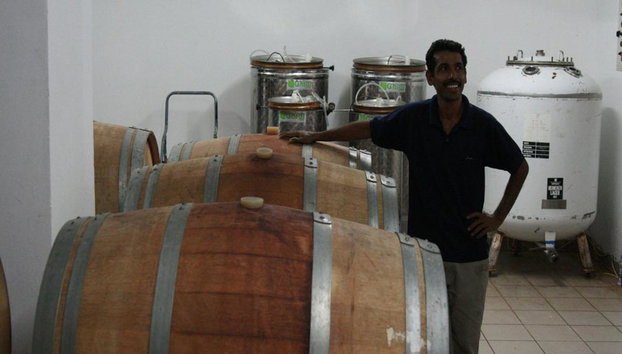 Wine Tasting Tour from Paphos - Small Group Tour - Photo 4