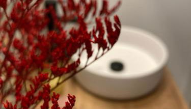 Apartamentos Abadía. - Foto 3