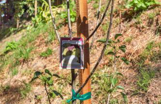 Stylish 3BR Retreat Close to Coast & Wineries - Foto 66