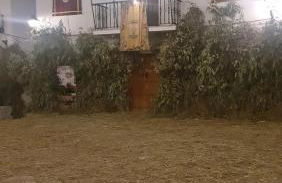 Entre Vistas - Foto 75