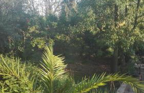 Panos and Chrisas House - Foto 32