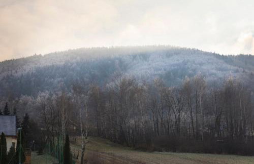 Noclegi Na Bukowym Stoku - Foto 21
