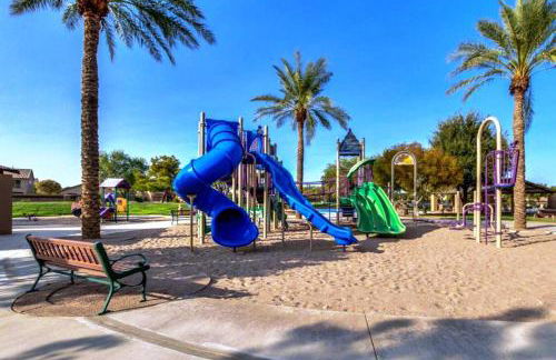 Palmen Maricopa - Photo 85