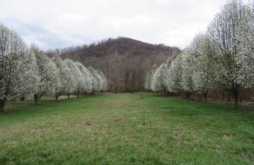 Serenity Views Retreat - Close to City and Parkway! - Foto 41