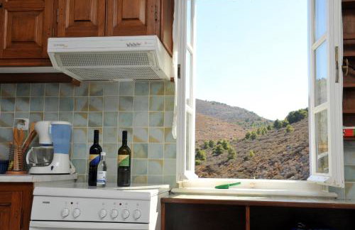 Hydra Erato - Foto 44