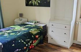 Cityappartement am Kirschberg - Foto 9