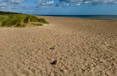 Cozy Holiday Home in Anderby Creek - Photo 15