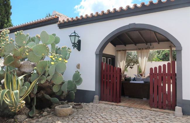 Quintal das Oliveiras - Foto 40