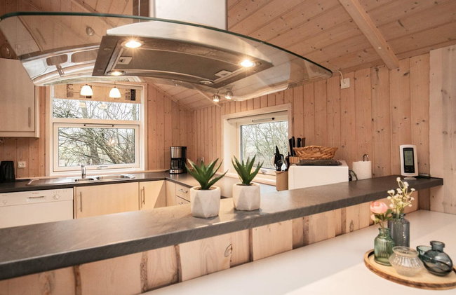 5 Star Holiday Home in Vinderup - Foto 15