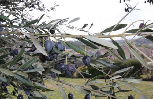 Maison Les Chênes - Jacuzzi - Calme & Idéalement situé - Clim - Salle de Jeux - Parking - Foto 67