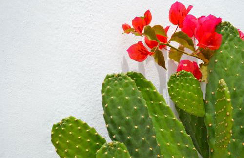 Habitación con baño y entrada independiente - Foto 24