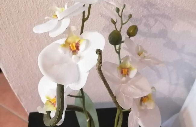 Perla Del Golfo With Garage - Foto 20