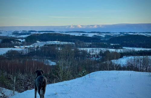 Leśne Klimaty - Foto 21