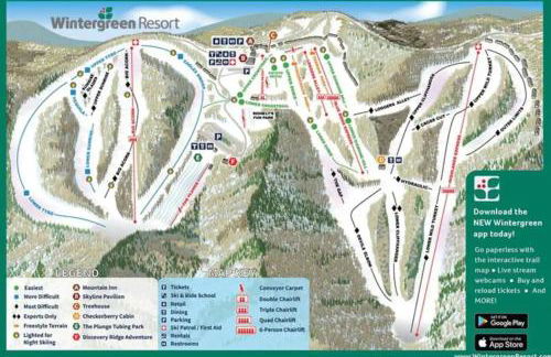 Wintergreen Ridge Retreat - Family Home - Foto 30