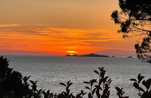 Costa di fiori - Photo 2