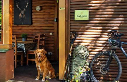 Gruppenhaus Bucheneck ideal für Firmen, Familien und Retreats 7 Schlafzimmer 3 Bäder Kromlau - Photo 64