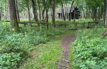 Krecia Dolina - Kaszubskie Wzgórza - Foto 52