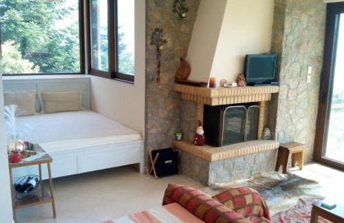 Elatos cozy Studio - Foto 13