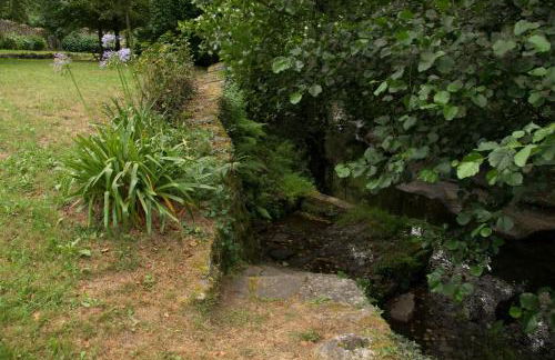 Molino de Yera - Foto 43