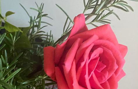 PenthouseBlick - Foto 12