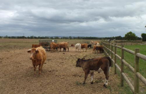 Quinta da Gafaria - Foto 38