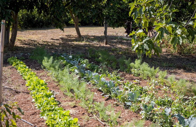 Villa I Mori 4 Emma Villas - Foto 35