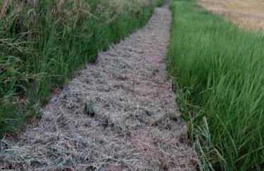 Agriturismo Poderino - Foto 48