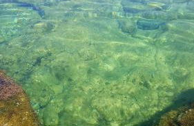 A Due Passi Dal Mare - Foto 45