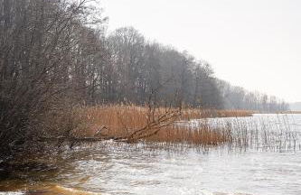 Ferienhaus-Wehr - Foto 52