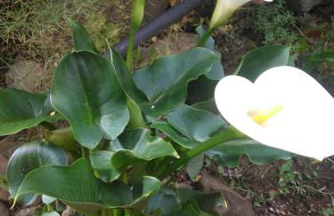 Casa Rural Calecha - Photo 24