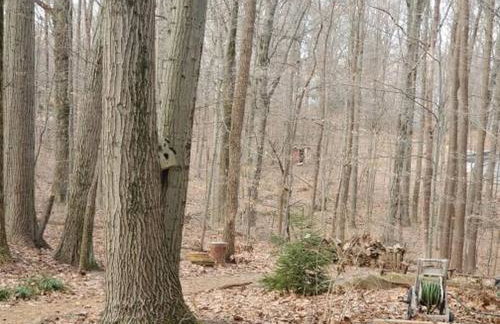 Woodshores Retreat - cozy retreat, hot tub, Lk MI - Photo 45