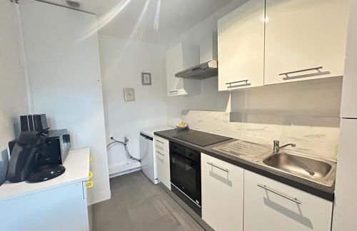 Le clos Champenois maison au cœur des vignes - Foto 20