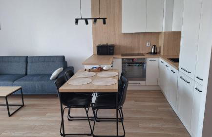 Apartament Kameralny - Foto 11