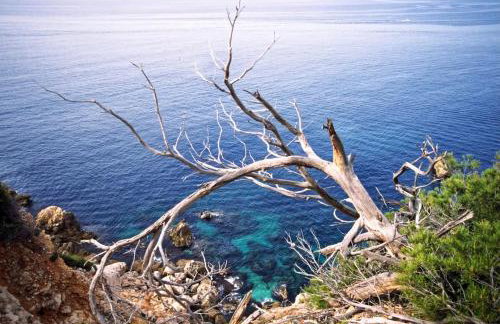 Vue Lac avec Terrasse Privée - Foto 40