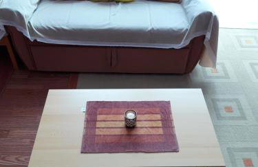 Studio apartman CENTAR - Foto 21