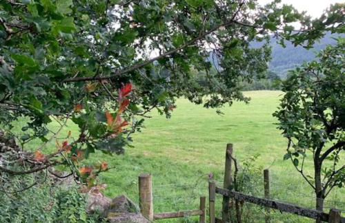 a Fairytale Thatched Highland Cottage - Foto 59