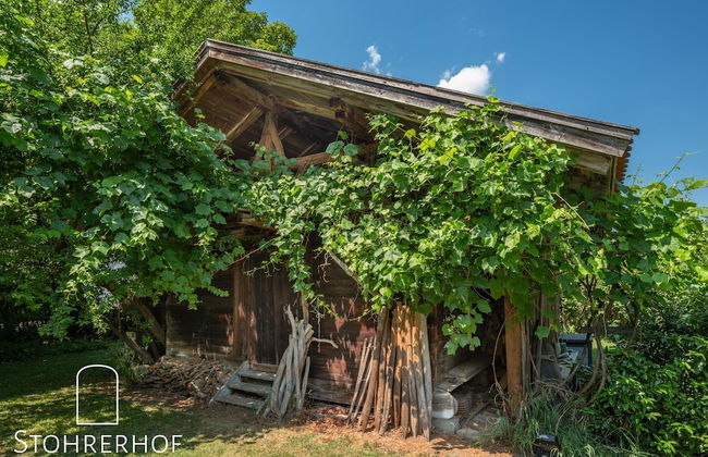 Gut Stohrerhof - Foto 63