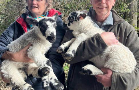 Kents Bank Holiday - Pet Friendly with Bay Views - Foto 51