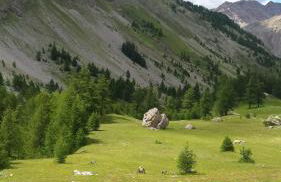 La Provence vous Attend - 2ème étage - Foto 34